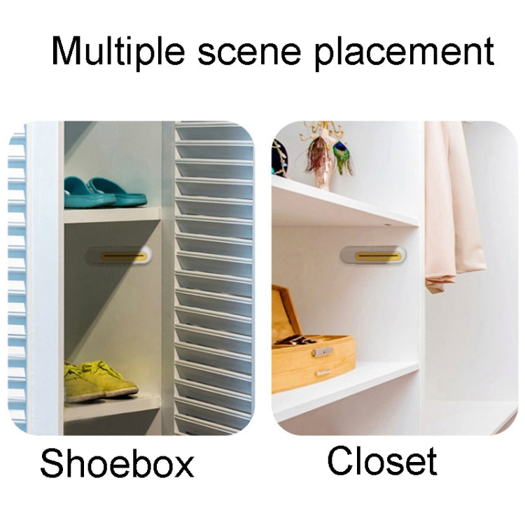 Pet Deodorizing Aroma Odorless Solid Diffuser Box With 1 Diffuser Stick(Gary) by bashfashion