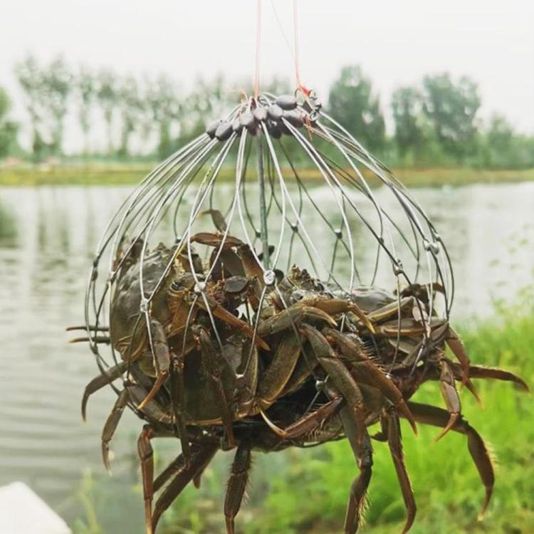 Diameter 52cm/20 Strands Automatically Retractable Crab Cage Wire Crab Opening And Closing Cage by bashfashion