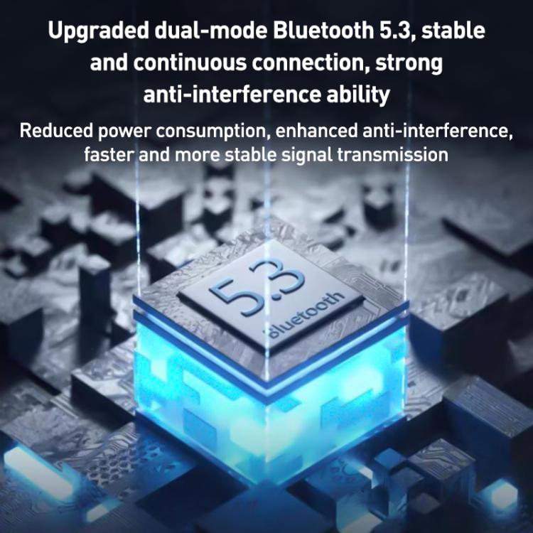 EDA0079965_B10.jpg@677b76c069c68a8739429130a19b0714