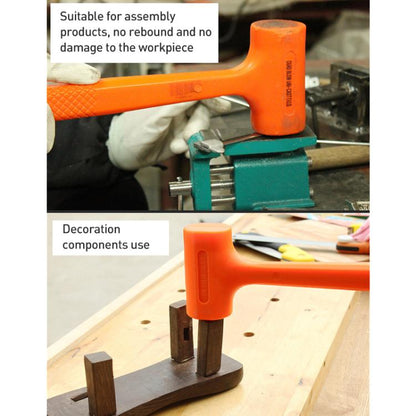 EDA0081712_B2.jpg@70420a6fb62cbdc90fed3ffa51ca797b