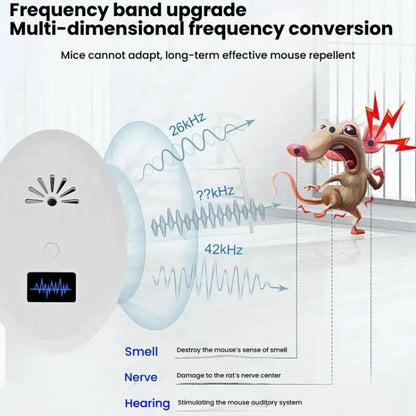 TBD06055772_B2.jpg@1dd54fc42c99b2f0f2df8c3256ef1bb4