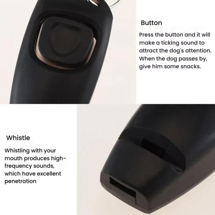 TBD06060812_B5.jpg@acf0fb92bbf031b58b829d0adc393f72